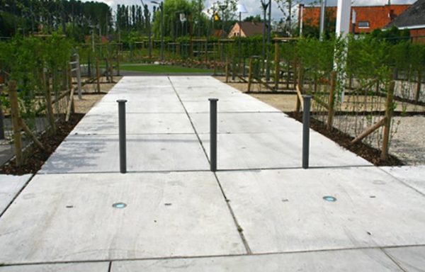 Lignum Paaltjes